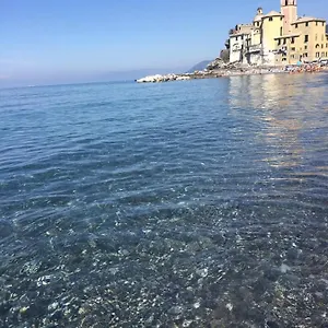 Lamarina , Camogli Italia